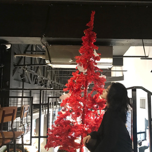 97超级碰碰碰.免费视频
